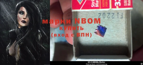 твердый Снежинск
