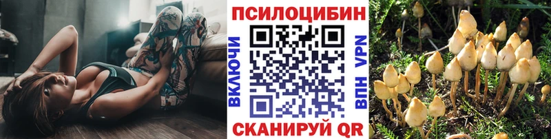 Псилоцибиновые грибы MAGIC MUSHROOMS  Яблоновский 